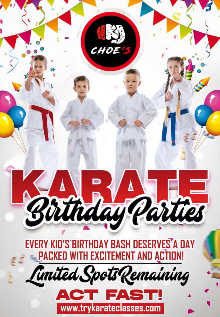 karate birthday parties in flowery branch